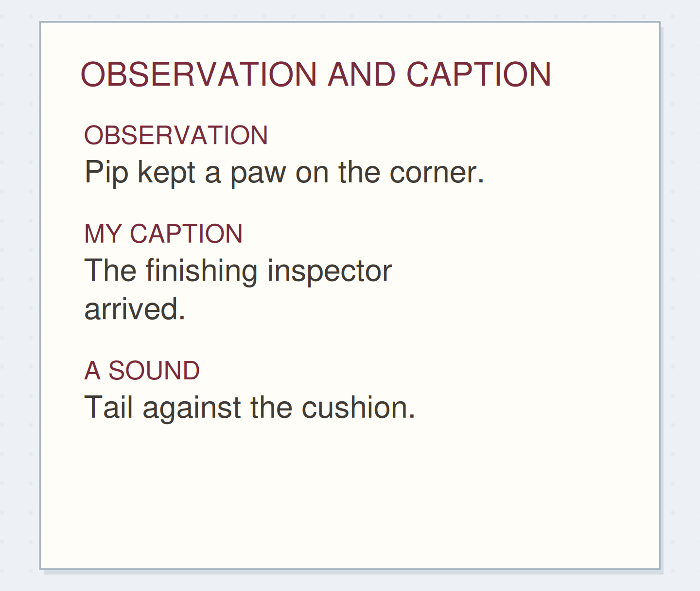 OBSERVATION AND CAPTION